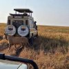 Tanzania wildlife safari services offers