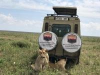 tanzania safari packages company arusha